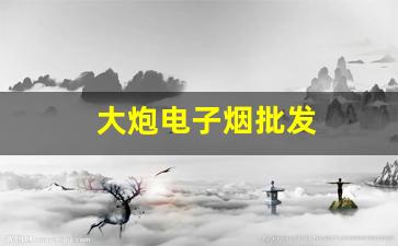 如何通过批发大炮电子烟获得更好的利润