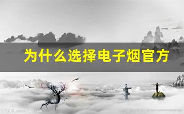 为什么选择电子烟官方货源至关重要