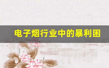 电子烟行业中的暴利困境与机遇