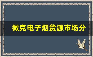 微克电子烟货源市场分析与未来趋势