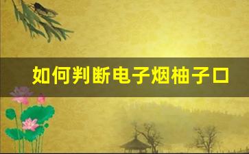 如何判断电子烟柚子口味货源的品质与安全