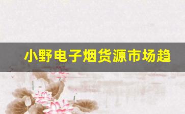 小野电子烟货源市场趋势分析与发展前景