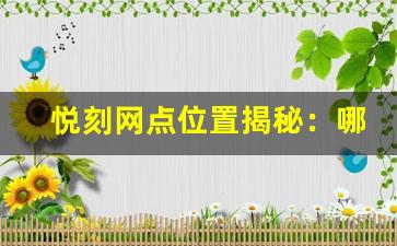 悦刻网点位置揭秘：哪些地方可以轻松找到