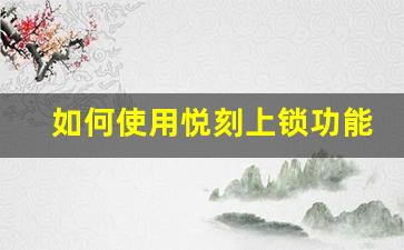 如何使用悦刻上锁功能提高使用安全性
