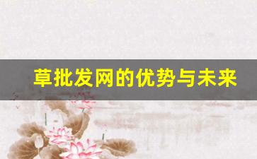 草批发网的优势与未来发展前景